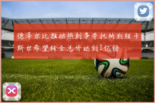 德泽尔比推动热刺争夺托纳利纽卡斯尔希望转会总价达到1亿镑